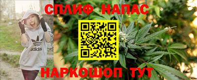 эйфоретик Малгобек